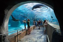 Saint Louis Zoo photo 3