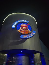 Space Monkey Arcade