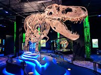 Arizona Science Center photo 3