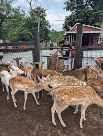 Smoky Mountain Deer Farm and Exotic Petting Zoo photo 3
