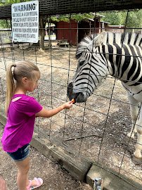 Smoky Mountain Deer Farm and Exotic Petting Zoo photo 4