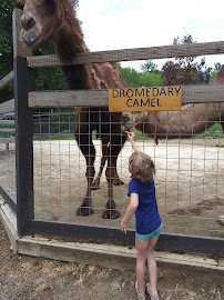 Smoky Mountain Deer Farm and Exotic Petting Zoo photo 5