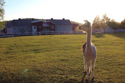 Green Chimneys Farm & Wildlife Center photo 2