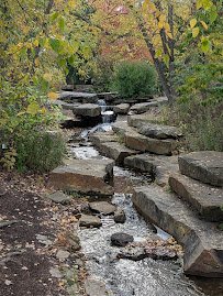 Cox Arboretum MetroPark photo 5