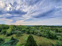 Cox Arboretum MetroPark photo 6