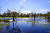 Wolfe's Pond Park Skating field photo 2