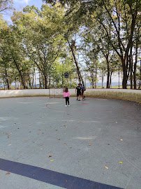 Wolfe's Pond Park Skating field photo 3