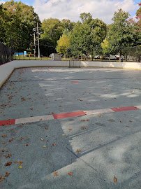 Wolfe's Pond Park Skating field photo 6