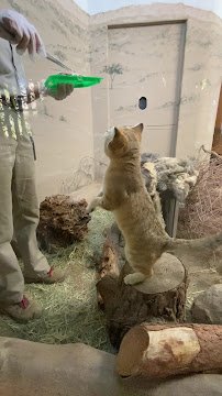 Nairobi Village photo 2