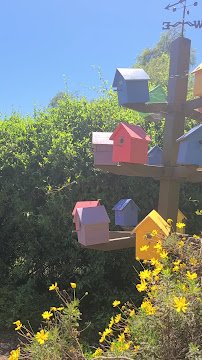 Alta Vista Botanical Gardens photo 2