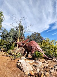 Alta Vista Botanical Gardens photo 5