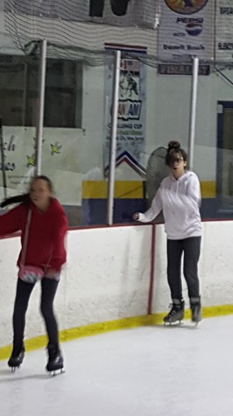Iceland Family Skating Center photo 4