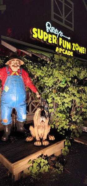 Ripley's Super Fun Zone Arcade photo 3