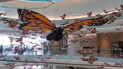 Mall of America® photo 2