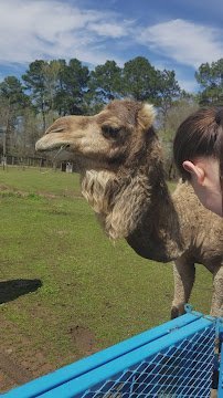 Jubilee Zoo Mobile Services & Brandi’s Barnyard photo 2