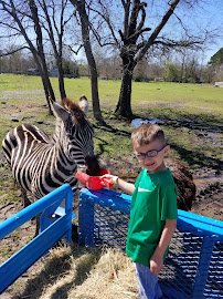 Jubilee Zoo Mobile Services & Brandi’s Barnyard photo 3