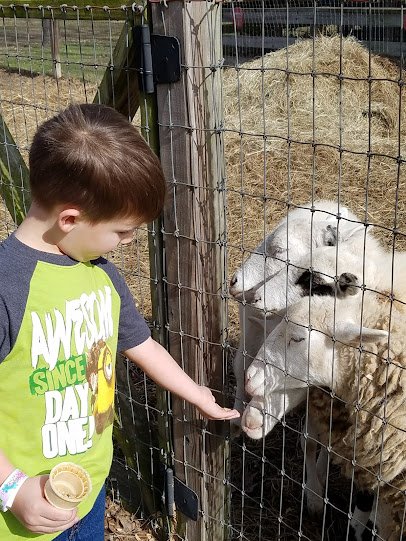 Jubilee Zoo Mobile Services & Brandi’s Barnyard photo 5