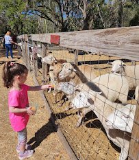 Bf Petting Zoo photo 2