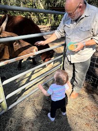 Bf Petting Zoo photo 5