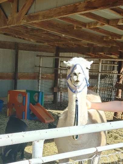 Wishing Star Farm photo 6