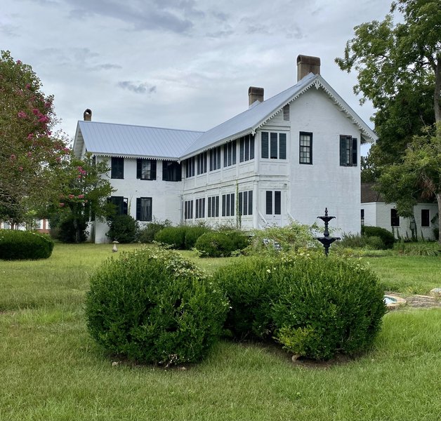 Bluff Hall photo 3