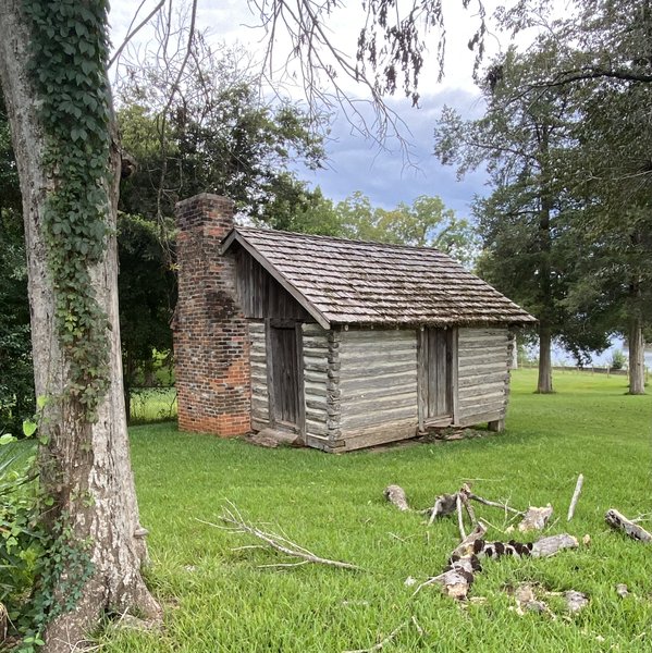Bluff Hall photo 5
