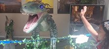 The Palm Beach Museum of Natural History photo 2