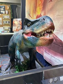 The Palm Beach Museum of Natural History photo 3