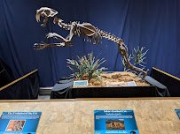 The Palm Beach Museum of Natural History photo 4