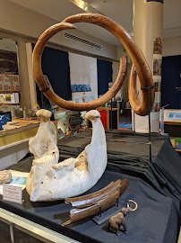The Palm Beach Museum of Natural History photo 6