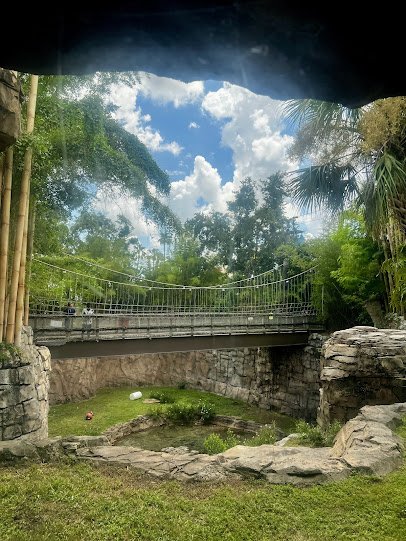 Tiger Lodge photo 3