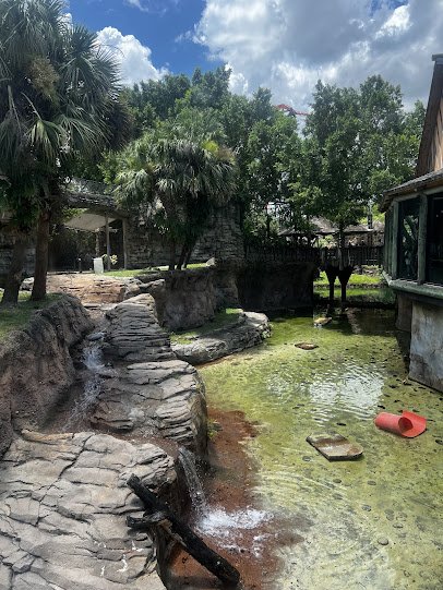 Tiger Lodge photo 6