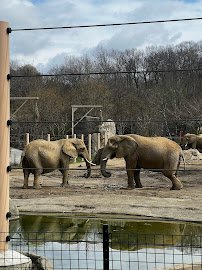 Cleveland Zoological Society