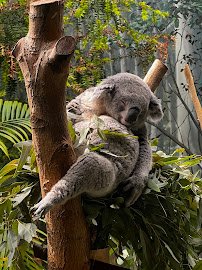 Cleveland Zoological Society photo 3