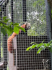 Cleveland Zoological Society photo 5