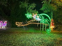 Carousel Gardens Amusement Park photo 4