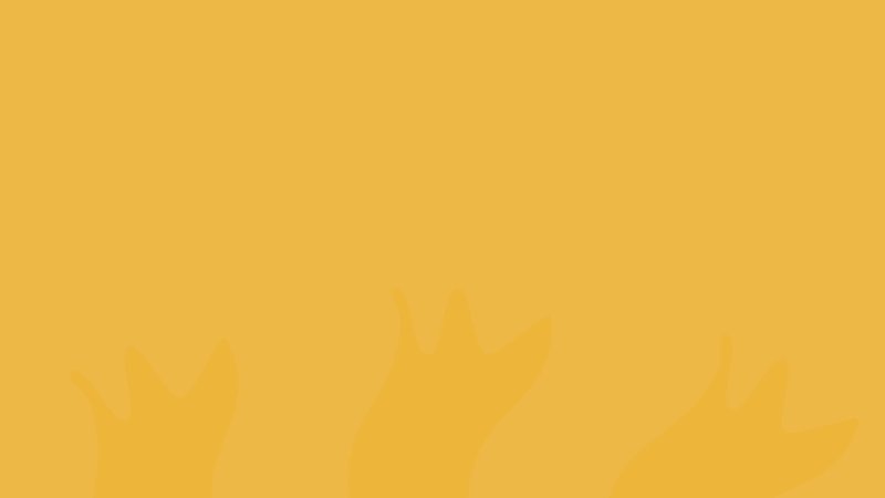 Fun-Plex Waterpark & Rides photo 2