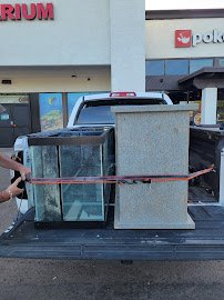 Discount Aquarium Fish and Reef