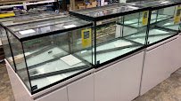 Discount Aquarium Fish and Reef photo 2