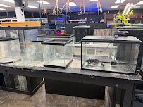 Discount Aquarium Fish and Reef photo 3