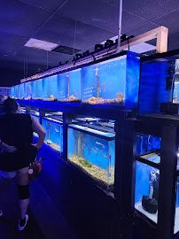 CB'S Tropical Aquarium photo 4