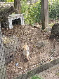 Cohanzick Zoo photo 5