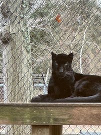 Cohanzick Zoo photo 6