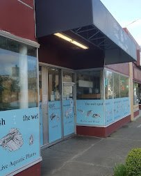 The Wet Spot Tropical Fish