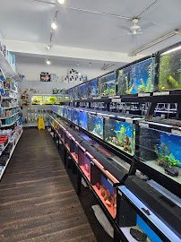 The Wet Spot Tropical Fish photo 4