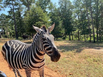 Busy B Ranch Wildlife Park, LLC photo 3