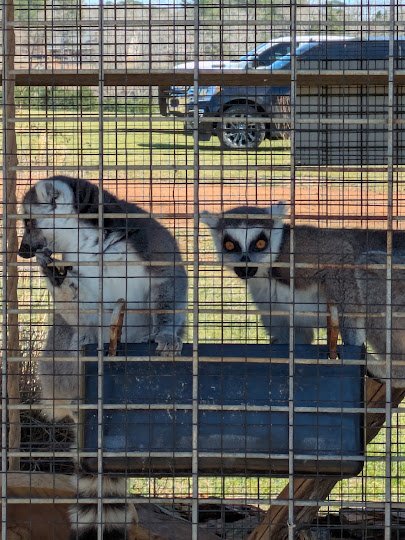 Busy B Ranch Wildlife Park, LLC photo 6