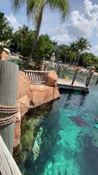 Discovery Cove photo 2