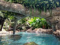 Discovery Cove photo 4