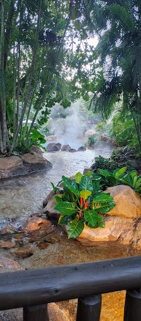 Discovery Cove photo 6